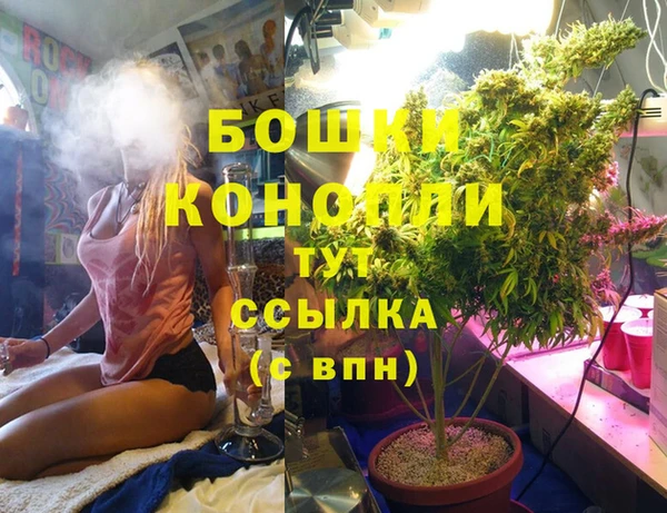 mix Касимов