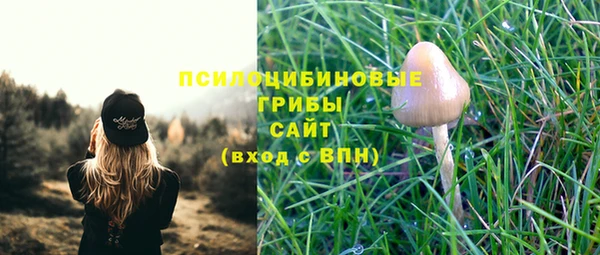 mix Касимов