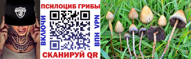 Галлюциногенные грибы Magic Shrooms  Купить  Алейск 